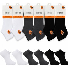 İkonik Socks Erkek Modal Renkli Patik Çorap 6'lı Set