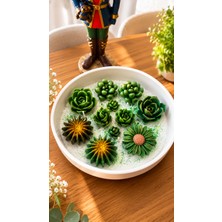 Lumına Shoop – Emerald Oasıs Premıum Dekoratif Soya Mum (Yeşil)
