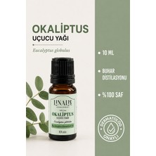 Linalis Aromatherapy %100 Saf Okaliptüs Uçucu Yağı 10 ml