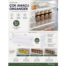 Okyanus Home 3 Adet Kapaksız Mini Buzdolabı Organizeri ve Saklama Kabı No:2 2000ML