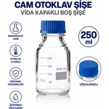 Labolist Cam Otoklav Şişe 250 ml - Vida Kapaklı Boş Şişe
