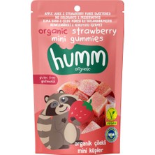 Humm Organik Glutensiz Vegan Çilekli Mini Küpler 30 gr