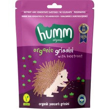 Humm Organik Vegan Pancarlı Grissini 55 gr