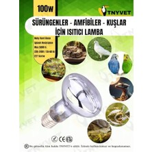 Kazan Hobi 100W Kızılötesi ve Gün Işığı Isıtıcı Lamba, Sürüngen, Amfibi ve Kuşlar Için