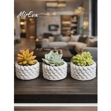 Kazan Hobi 3'lü Mini Saksı Seti 5 Cm, El Yapımı Dekoratif Beton Saksı (Bitki Dahil Değildir)