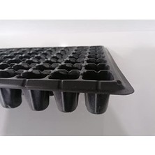 Kazan Hobi Göz Viyolü Fidan Çimlendirme 5 Adet 84 3.5 x 3.5 x 5 cm Fide Saksısı