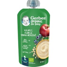 Kazan Hobi Organik Yulaflı Elma ve Yaban Mersini Püre 110G