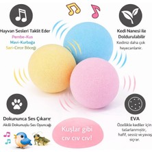 Duffa Kedi Için Kuş Sesi Çıkaran Top - Catnip Otlu Hazneli Pilli 3 Sesli Interaktif Oyun Topu 1 Adet