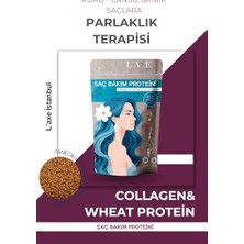 Kazan Hobi Kuru ve Cansız Saçlar Için Saç Bakım Proteini, 50 Gram