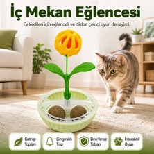 Duffa Evcil Hayvan Catnip Toplu Çıngıraklı Tumbler Oyuncak (2 Adet Catnip Yalama Topu) Sallanan Denge Tabanlı Interaktif Oyuncak