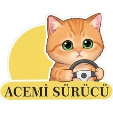 Kazan Hobi Acemi Sürücü Sevimli Kedi Araba Etiketi ve Sticker, Çok Renkli