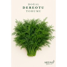 ARTUKA Doğal Dereotu Tohumu (1000+ Ad) | Ata Tohum