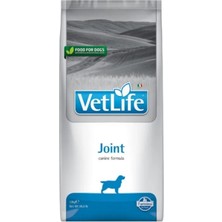 Vlife Vetlife Köpek Joınt 12 kg