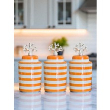 Feray Home Baharatlık - Seramik Kapaklı 3 Lü Soft Sarı Zebra Gümüş