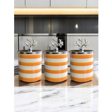 Feray Home Baharatlık - 3'lü Metal Kapaklı Soft Sarı Zebra Gümüş