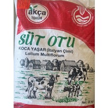 Koca Yaşar Süt Otu Italyan Çimi Ryegrass Tohumu 25 kg