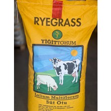 Yiğit Tohum Ryegrass Süt Otu Tohumu 25 kg