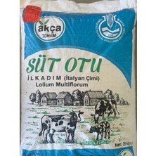 Ilk Adım Süt Otu Italyan Çimi Ryegrass Tohumu 25 kg