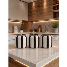 Feray Home Kahve Köşesi - 1.4 L Siyah Dik Çizgi Baharatlık Gümüş