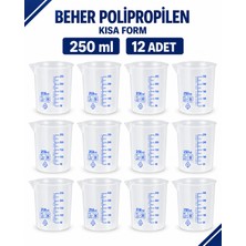 Labolist Beher Polipropilen - Kısa Form 250  ml 12 Adet