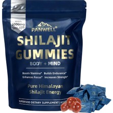 The Wellness Store Panwell 3000 Mg Shilajit Gummy Supplements Seamoss & Turmeric | Zero Sugar Energy, Cortisol Balance, Sleep, Immune & Overall Health Support – 60 Gummies