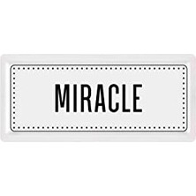 Kazan Hobi 35 x 16 cm Dikdörtgen Servis Tabağı, Miracle