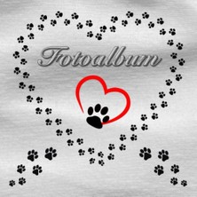 Kazan Hobi Evcil Hayvanlar Fotoğraf Albümü: Papağan, Hamster, Kobay, Tavşan, Güvercin, Fare, Sıçan, Gelincik, Muhabbet Kuşu, Köpek ve Kedi, Andenken 03 (Almanca Baskı)
