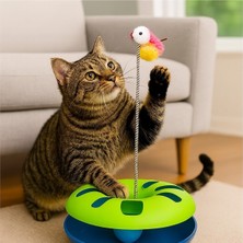 Duffa Çıngarak Toplu  ve Yaylı Fareli Kedi Çember Oyuncağı - Kedi Eğlence Aksesuarı Kedi Oyun Çemberi Renkli
