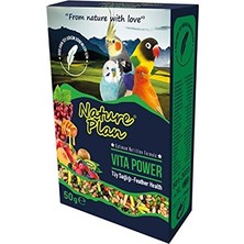 Kazan Hobi Vita Power Tüy Sağlığı Desteği Yem Katkısı 50 G