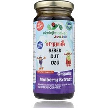 Kazan Hobi Organik Bebek Glutensiz Dut Özü