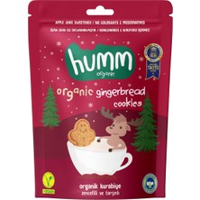 Humm Organik Vegan Zencefilli ve Tarçınlı Kurabiye 55 gr