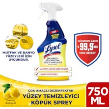Kazan Hobi Çok Amaçlı Dezenfektan Yüzey Temizleyici Köpük Sprey 750 ml