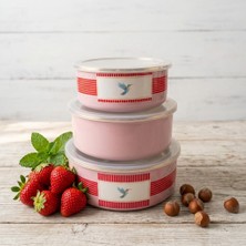 Emaye Market Emaye Saklama Kabı Seti 3'lü 14 cm 16 cm 18 cm Dışı Dekorlu Içi Krem Emaye