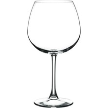 Kazan Hobi Enoteca Şarap Kadehi