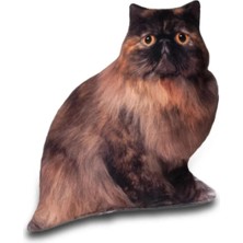Kazan Hobi 3 Boyutlu Kedi Yastığı No 6 40X25 cm