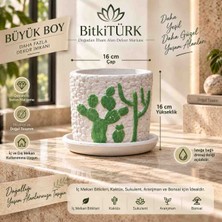 BitkiTÜRK Beton Saksı ve Altlık Seti 16X16 cm | Kaktüs Sukulent Bonsai Aranjman ve Iç Mekân Bitkileri Saksısı