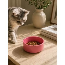 S'82 Kase Model Beton Kedi Köpek Mama ve Su Kabı (15CM Çap × 5cm) - Pembe
