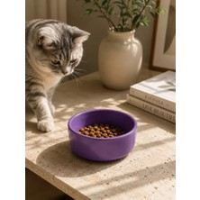 S'82 Kase Model Beton Kedi Köpek Mama ve Su Kabı (15CM Çap × 5cm) - Mor