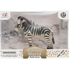 Kazan Hobi Zebra Kutulu Model Hayvan Figürü