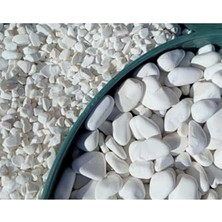 Kazan Hobi Dolomit Taş 50 Kg, 4-6 Cm, Beyaz Dolomit Bahçe Taşı, Çakıl Taşı, Saksı, Akvaryum ve Teraryum Taşı
