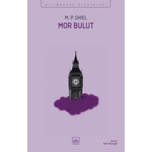 S'82 Mor Bulut