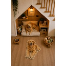 Zng Design Home Golden Retriever Figürlü Dijital Baskı Makine Halısı, Kaymaz ve Yıkanabilir
