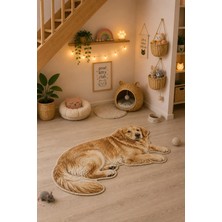 Zng Design Home Golden Retriever Golden-Krem Köpek Figürlü Dijital Baskı Makine Halısı, Kaymaz ve Yıkanabilir