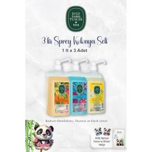 Kazan Hobi 1 Litrelik Sprey Kolonya Seti Bodrum Mandalinası, Okyanus, Limon ve Rosıe