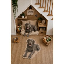 Zng Design Home Labrador Retriever Gri Figürlü Dijital Baskı Makine Halısı, Kaymaz ve Yıkanabilir