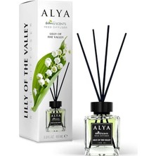 Kazan Hobi Nature's Scents Lilly Of The Valley Bambu Çubuklu Oda Kokusu - Müge Çiçeği Kokusu