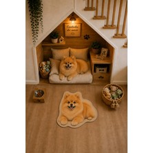 Zng Design Home Pomeranian Boo Figürlü Dijital Baskı Makine Halısı, Kaymaz ve Yıkanabilir