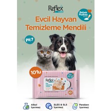 Kazan Hobi Evcil Hayvanlar Için Çok Amaçlı Hijyenik Temizleme Mendili, 10'lu