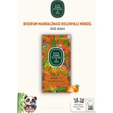 Kazan Hobi 3 Paket Bodrum Mandalinası Kolonyalı Mendil 150'LI ve Rosıe