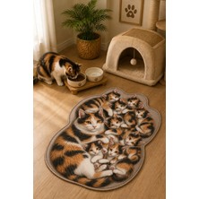 Zng Design Home Calico Kedi Figürlü Dijital Baskı Makine Halısı, Kaymaz ve Yıkanabilir